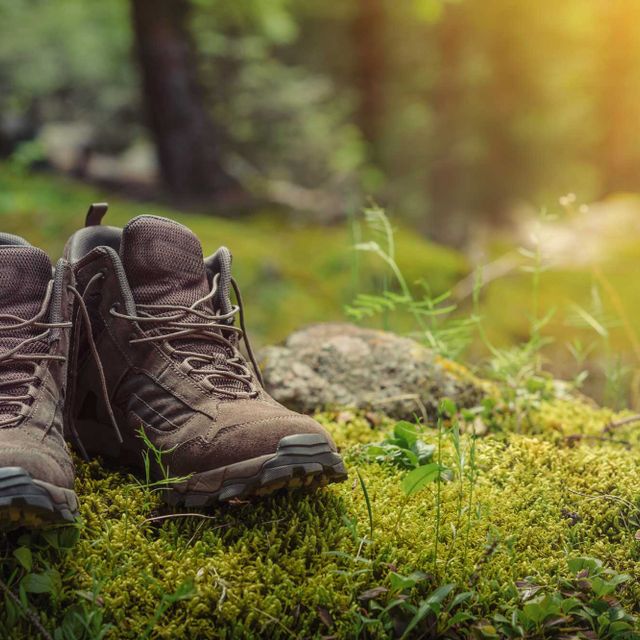 Hiking in the Tyrolean mountain world